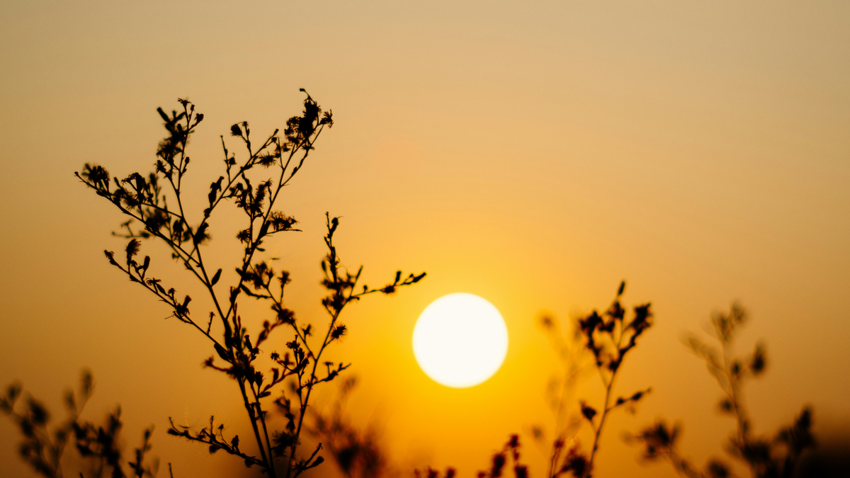 Personnalisables ☾ tout