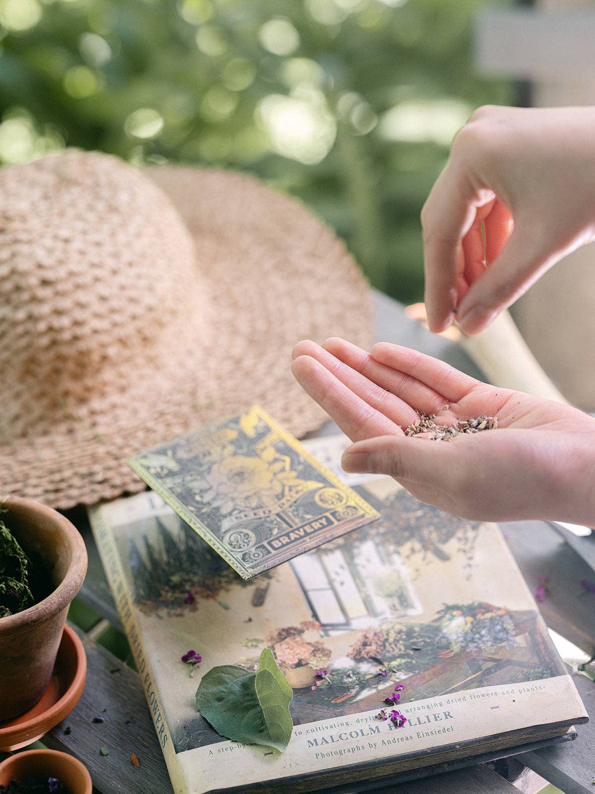 Sachet de graines - Mystère (Courage) *HOLOGRAPHIQUE*