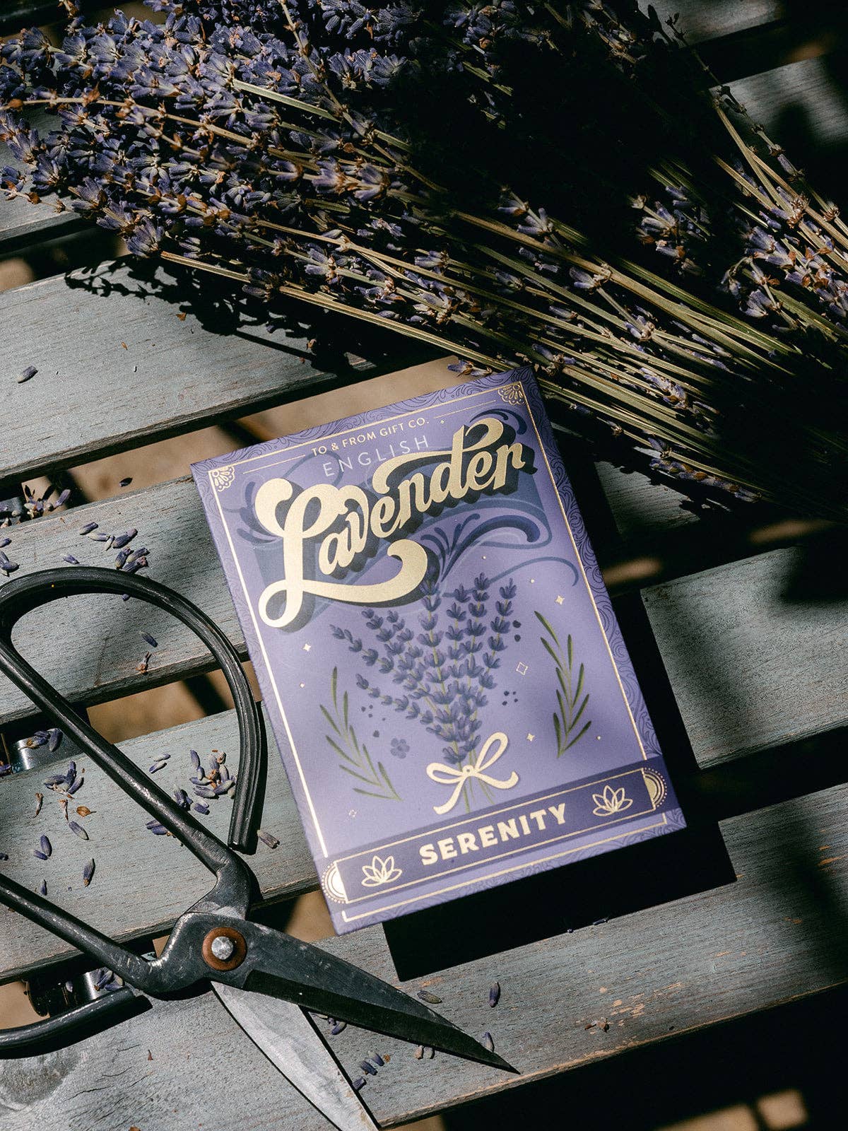 Sachet de graines - Lavande (Serenité)
