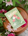 Sachet de graines - Marguerites peintes (Nouveaux débuts)