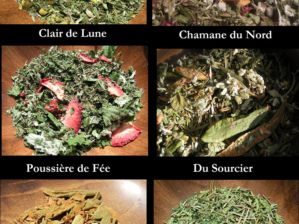 Boites Découverte Tisanes