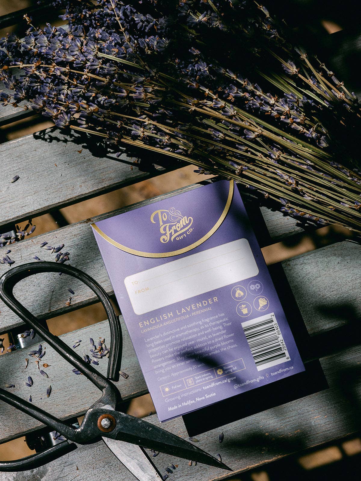 Sachet de graines - Lavande (Serenité)