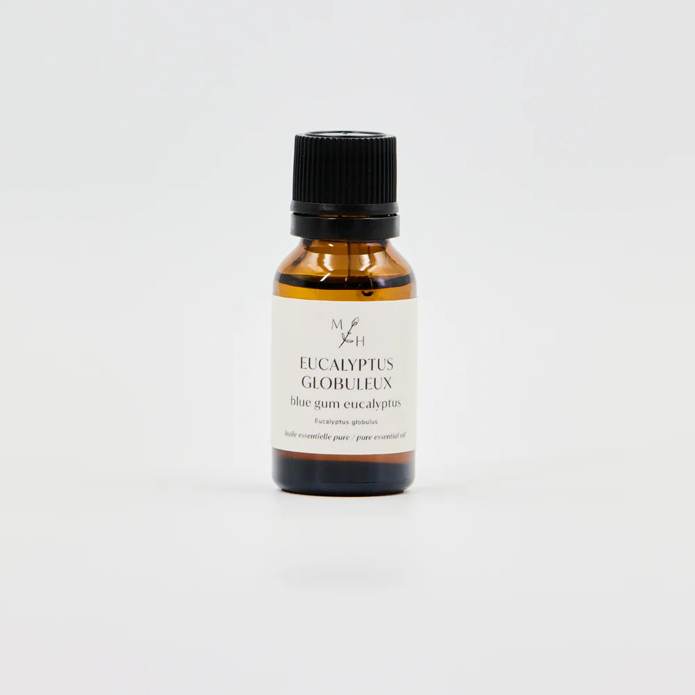 Huile essentielle - Eucalyptus globuleux