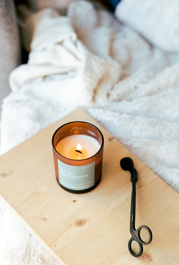 Bougie de soja - Forêt de conifères